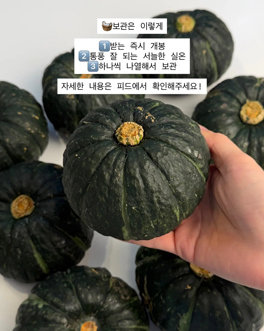 거제식물원 원데이클래스 6