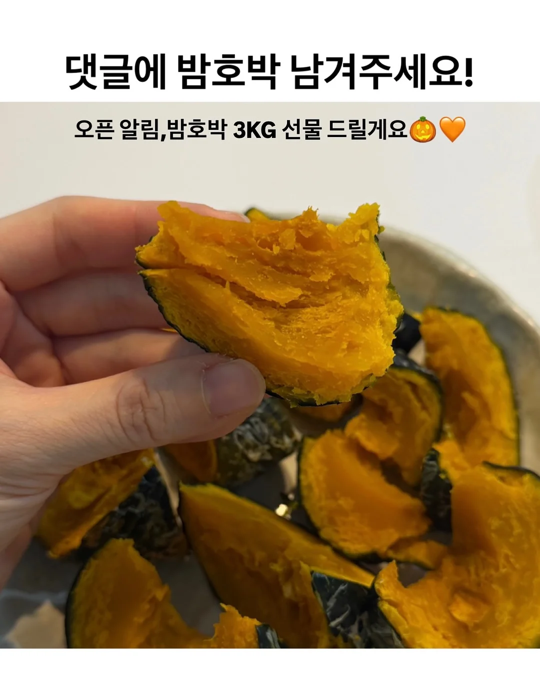 거제식물원 원데이클래스 10