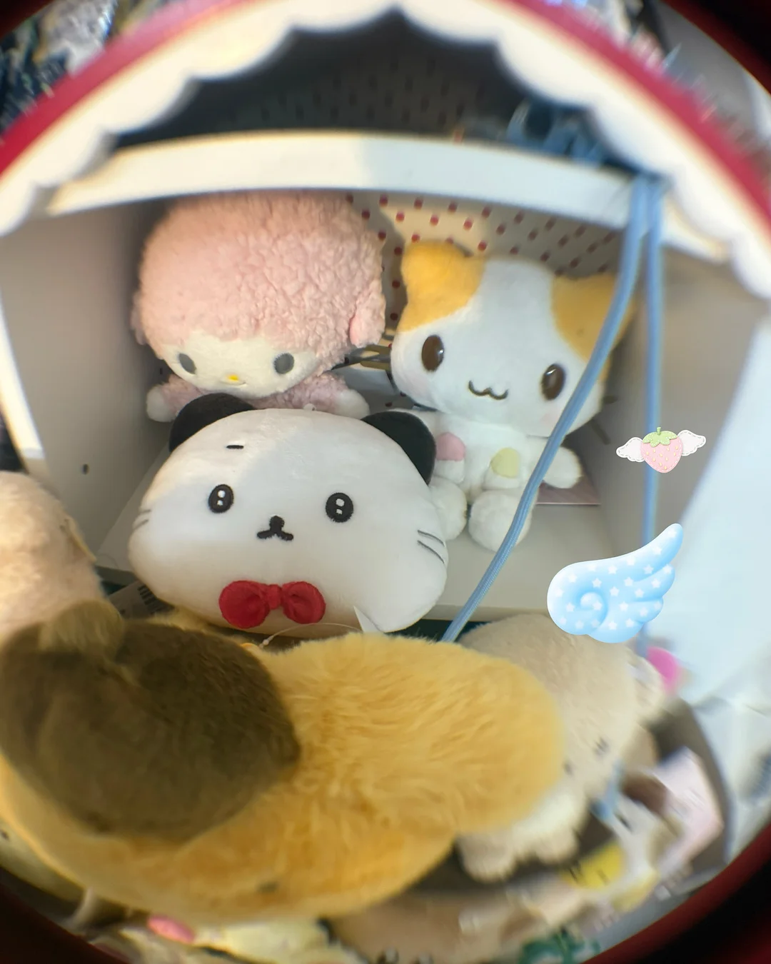 자석젤 2
