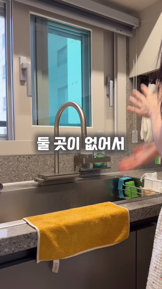 비세이프 고비욘드 바구니카시트