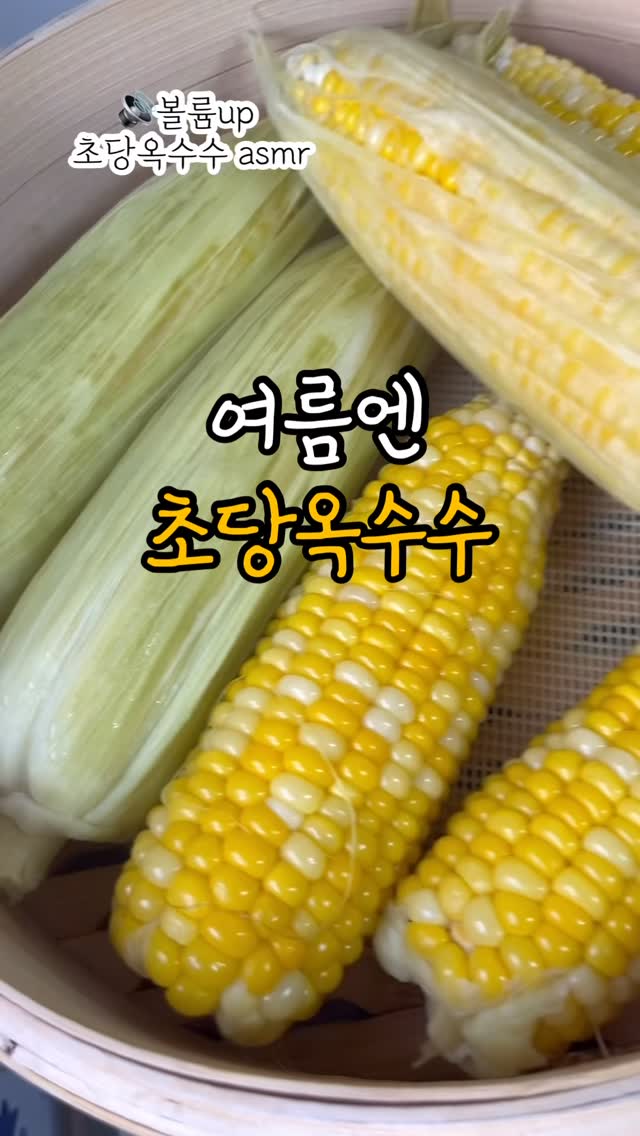 벽지 데코 스티커
