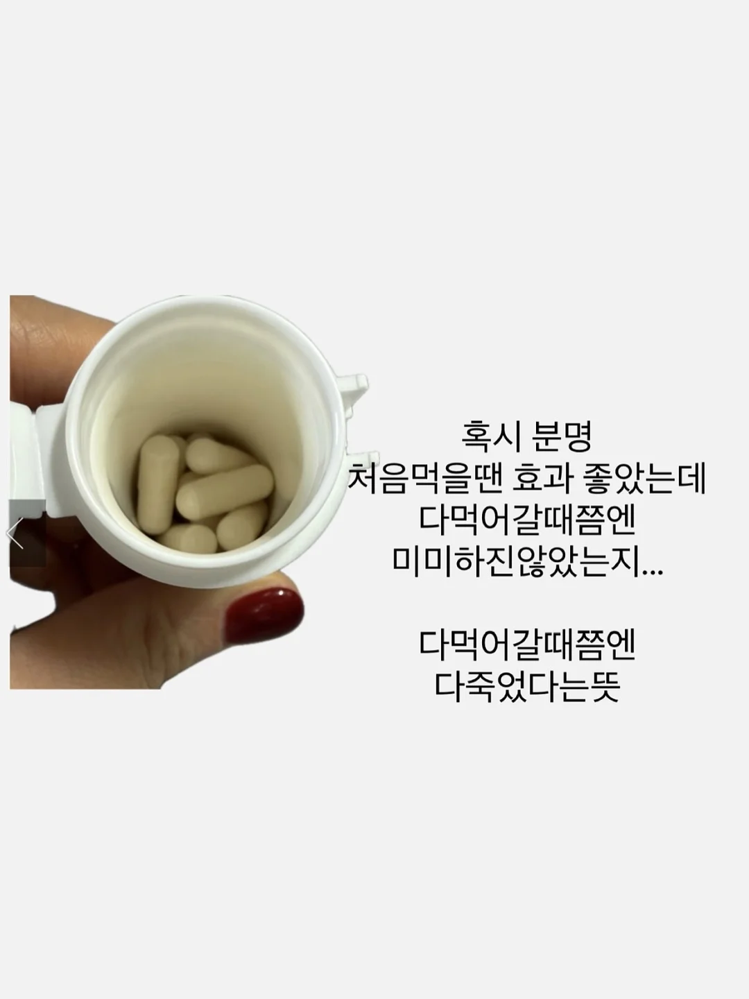 롤케이크 12