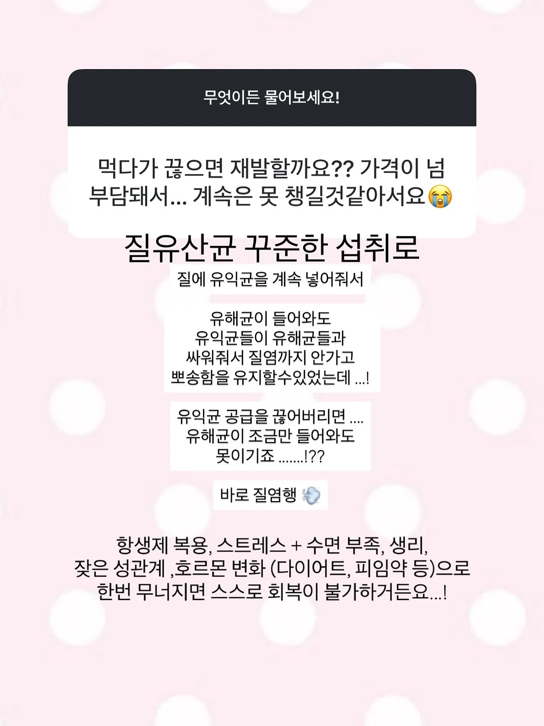 롤케이크 15