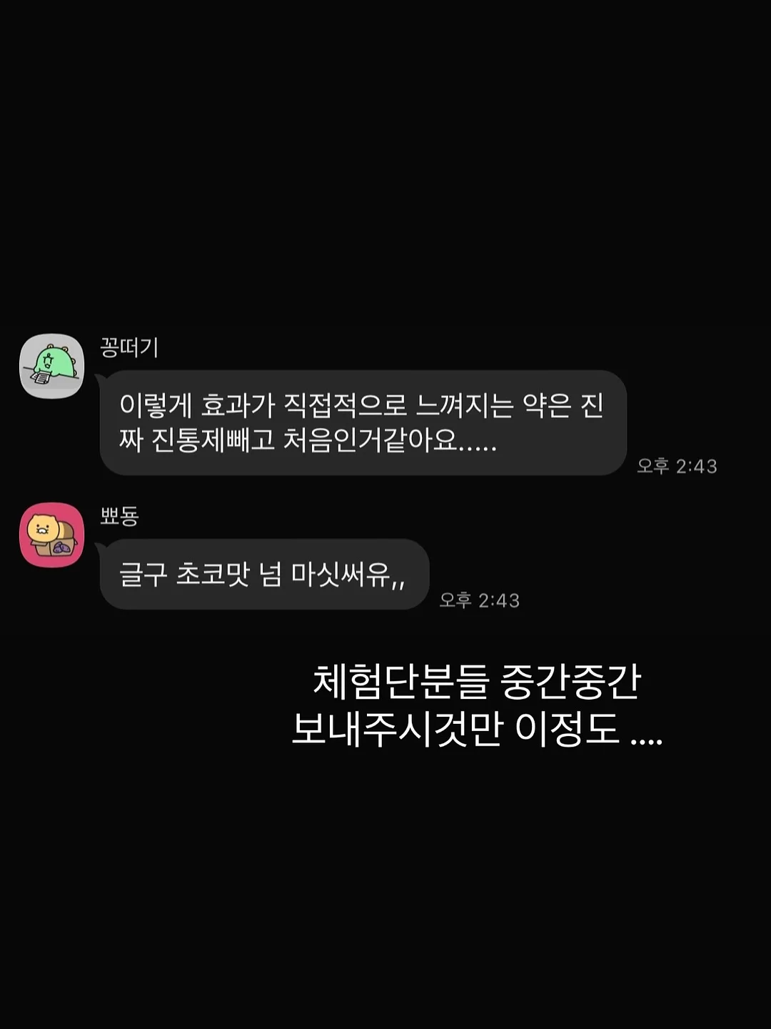 롤케이크 16