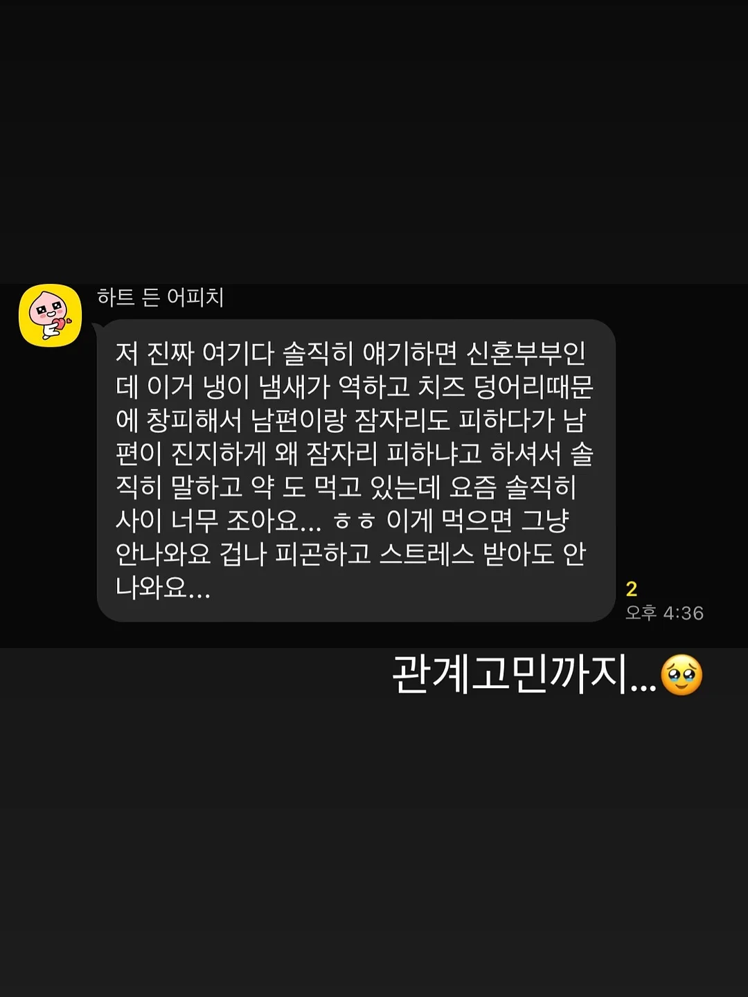 롤케이크 19
