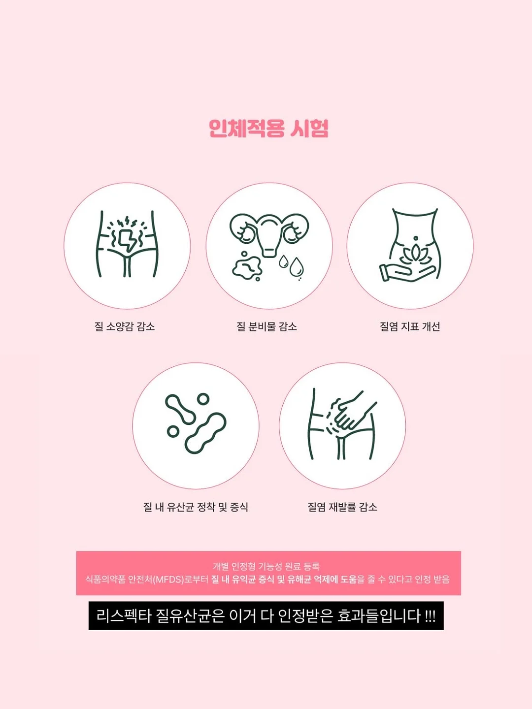 롤케이크 4