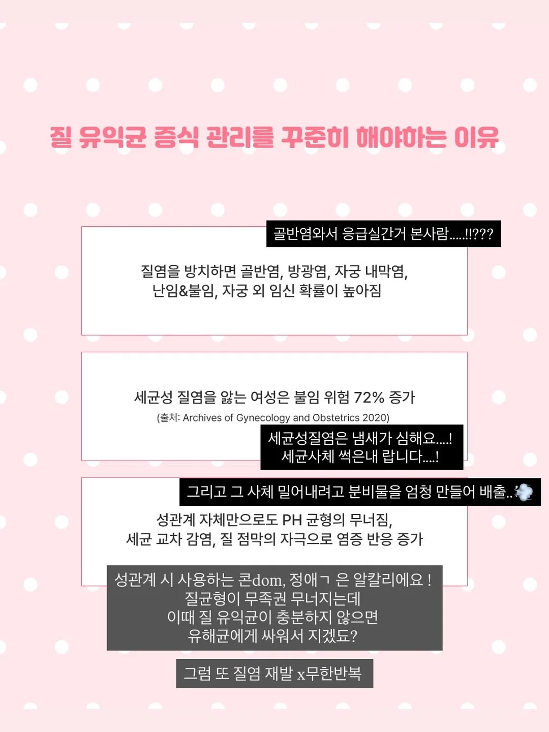 롤케이크 5