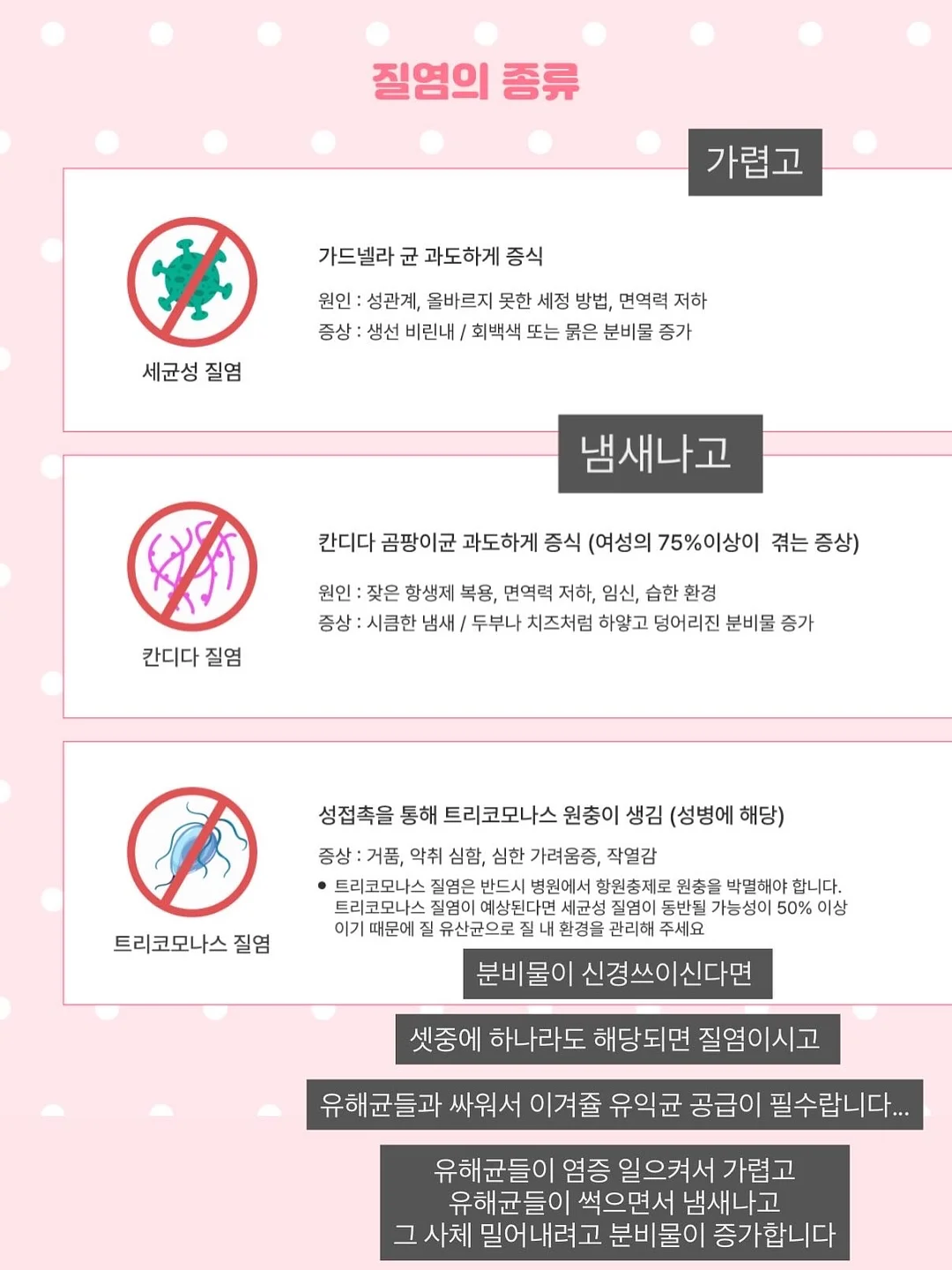 롤케이크 6