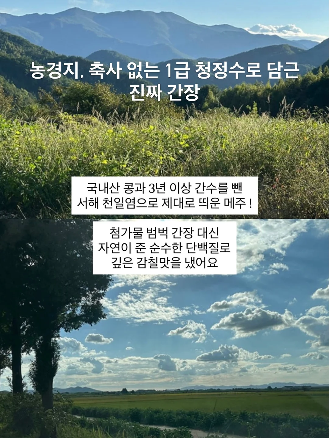 휴대용 스팀 다리미 4