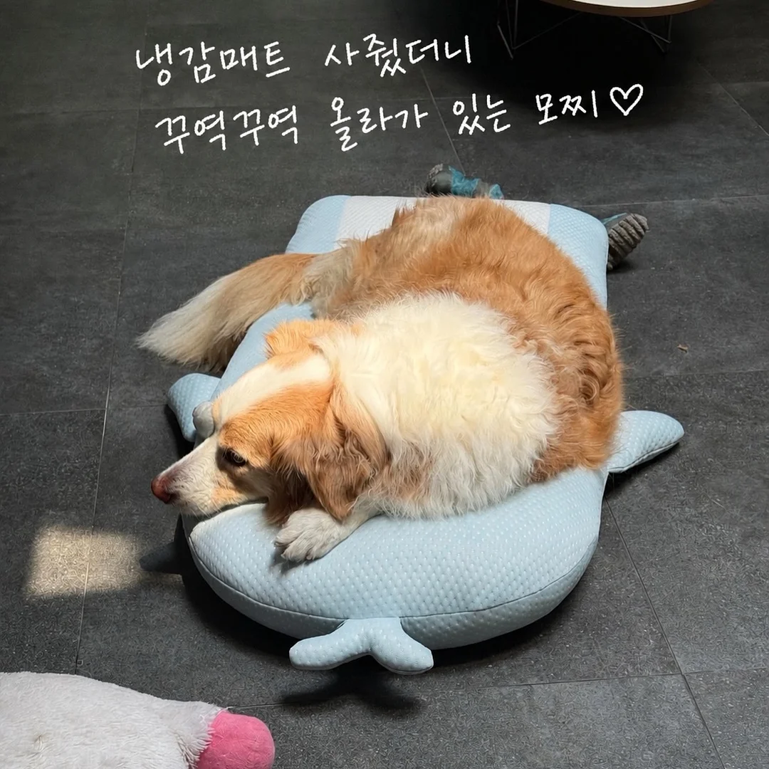 리나일론 여성 숏 바람막이 6