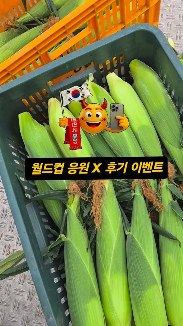 마약 양념감자