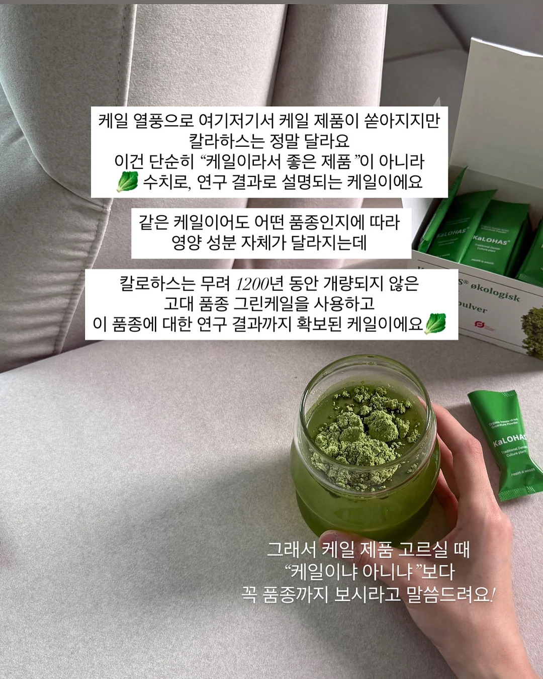 길티 요트 반팔 티셔츠 2