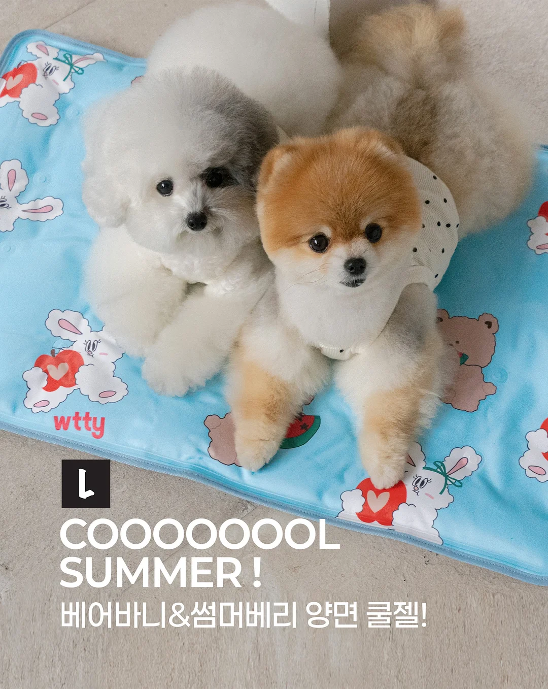 뉴메이슨 드라이기 1