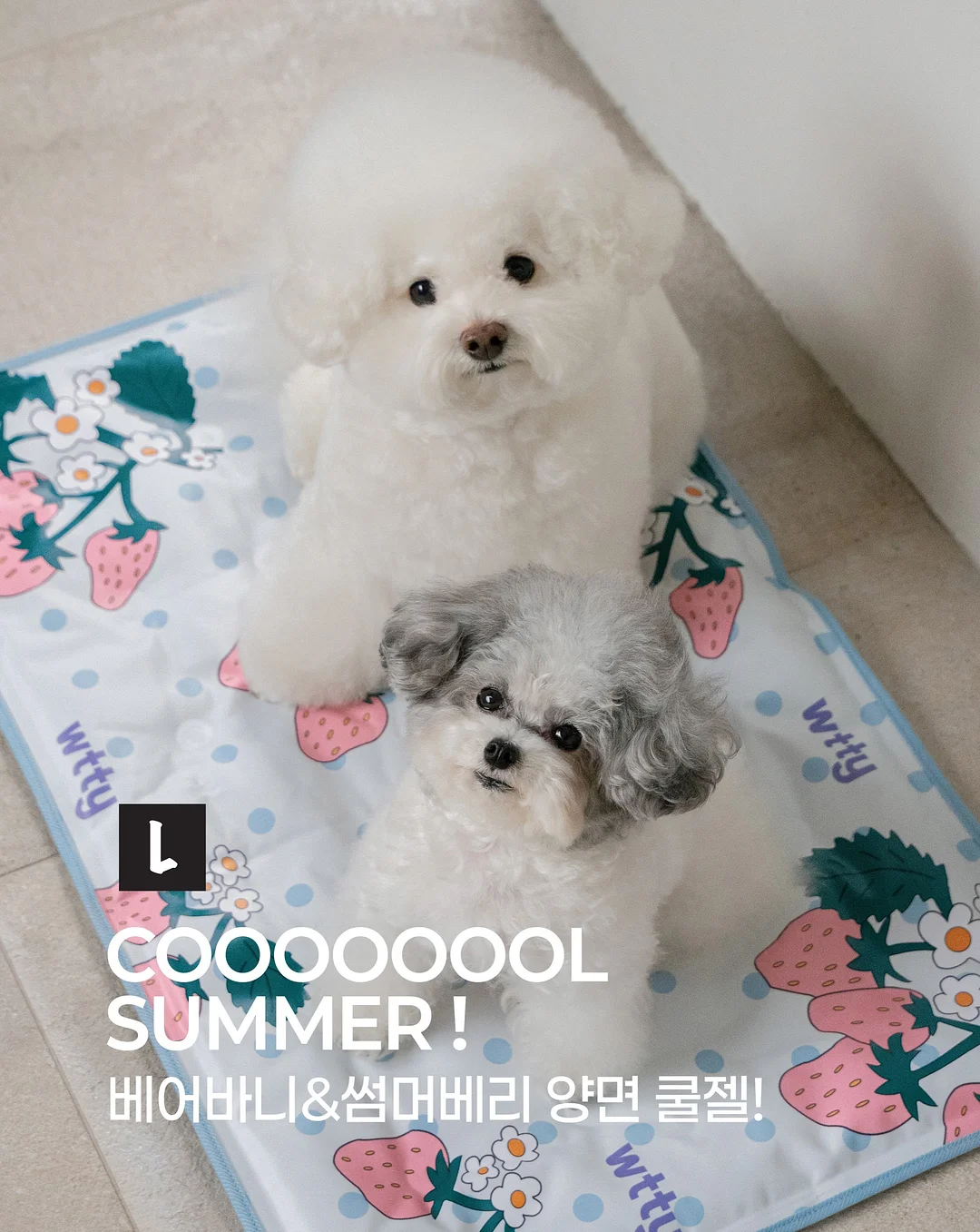 뉴메이슨 드라이기 2