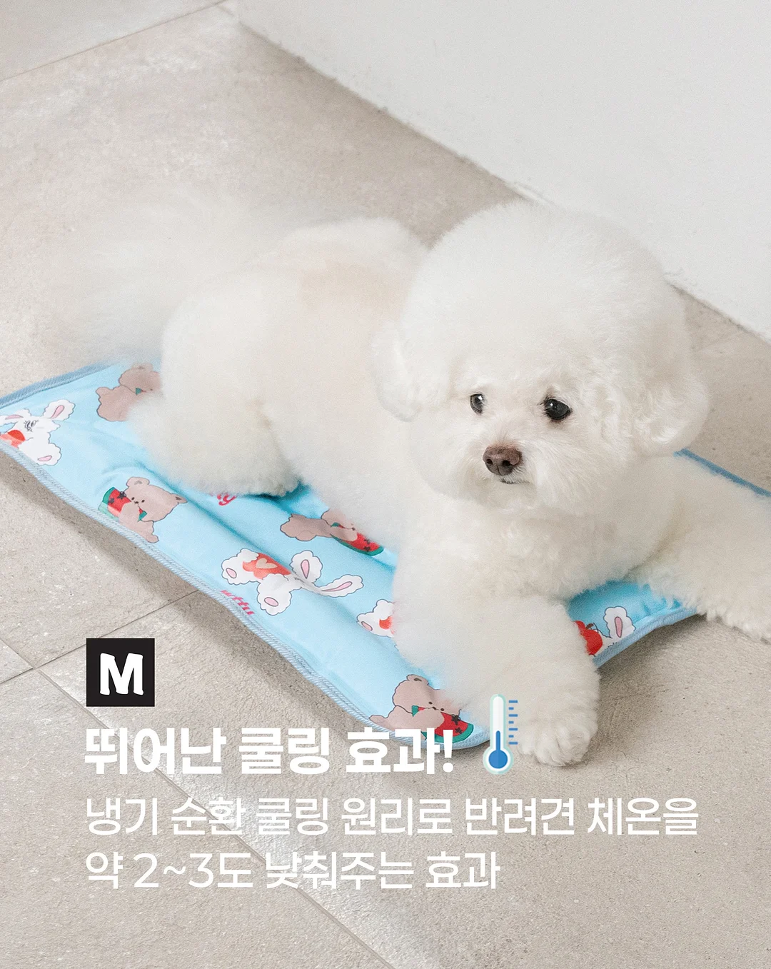 뉴메이슨 드라이기 3