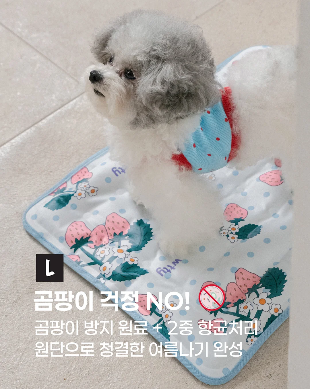 뉴메이슨 드라이기 4