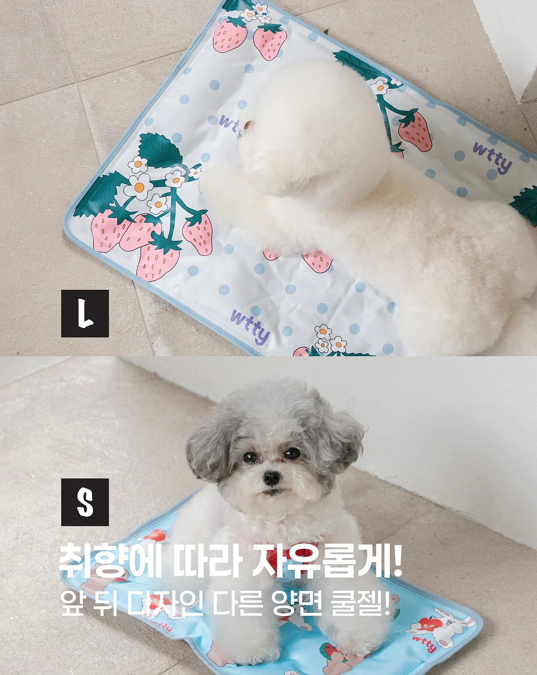 뉴메이슨 드라이기 6
