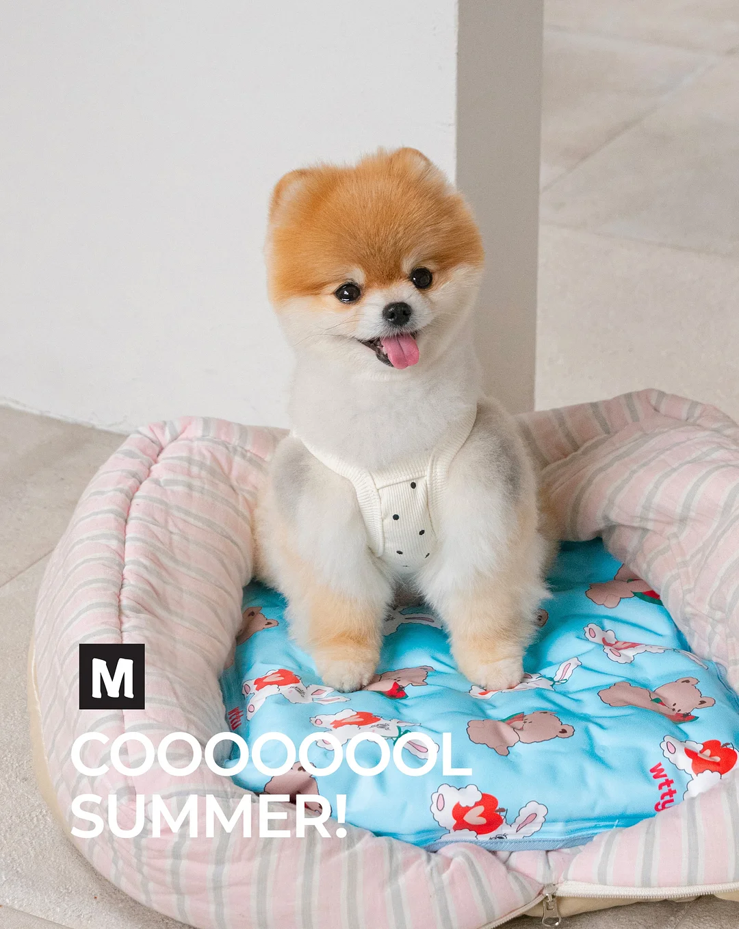 뉴메이슨 드라이기 8