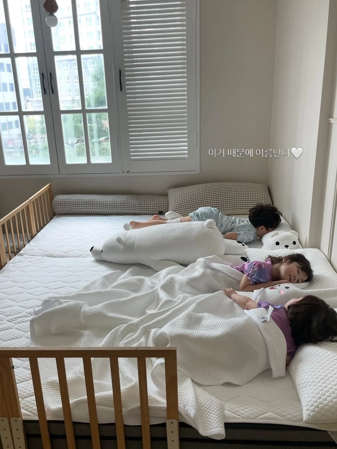 검은 진주 5