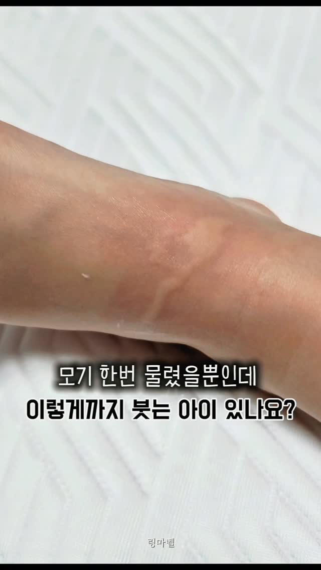 주문 제작 케이크