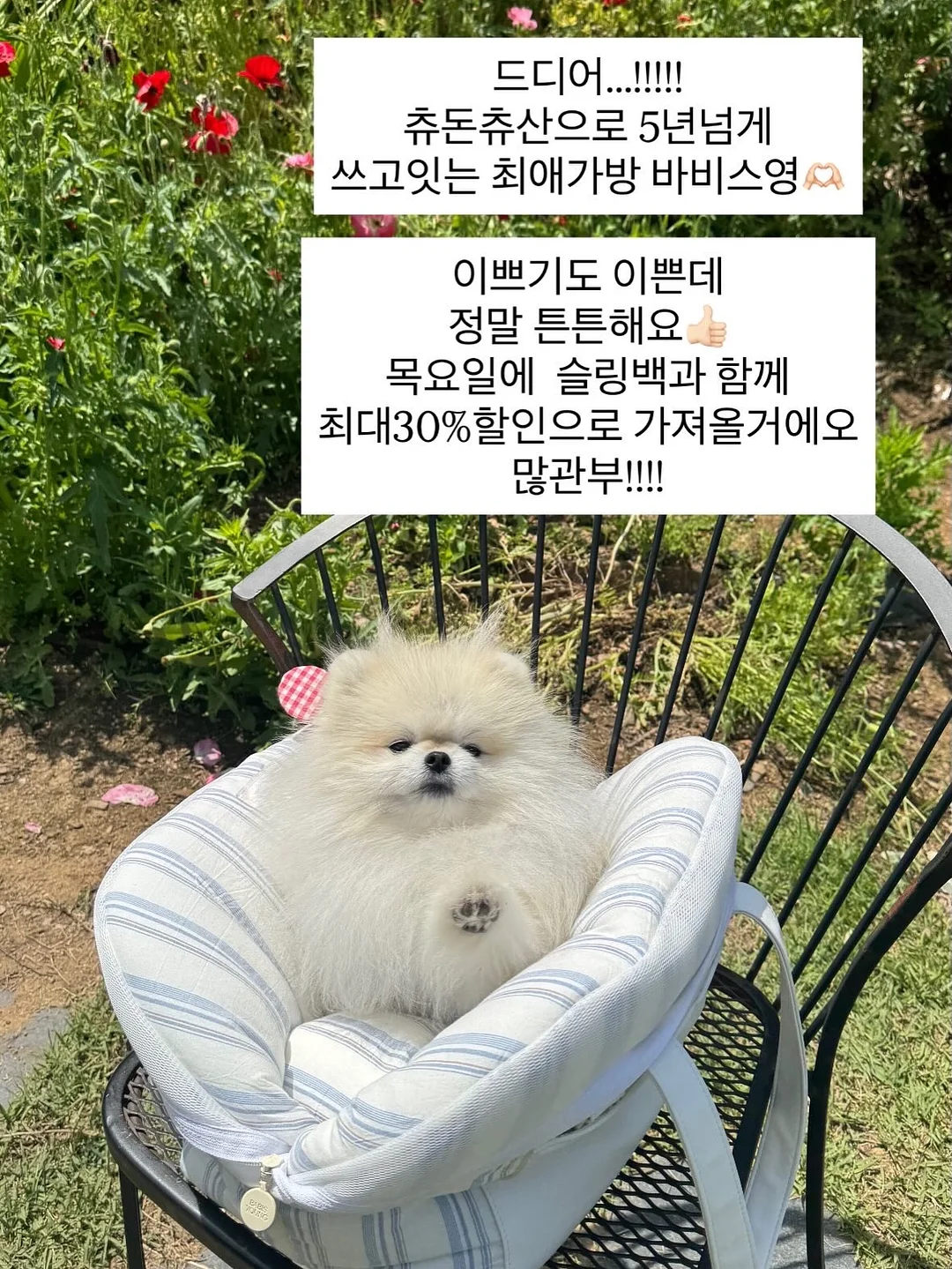 힐조 바디밤/티트리오일/베이비밤/페이스밤/민트밤/소이 캔들/바솝 12종 1