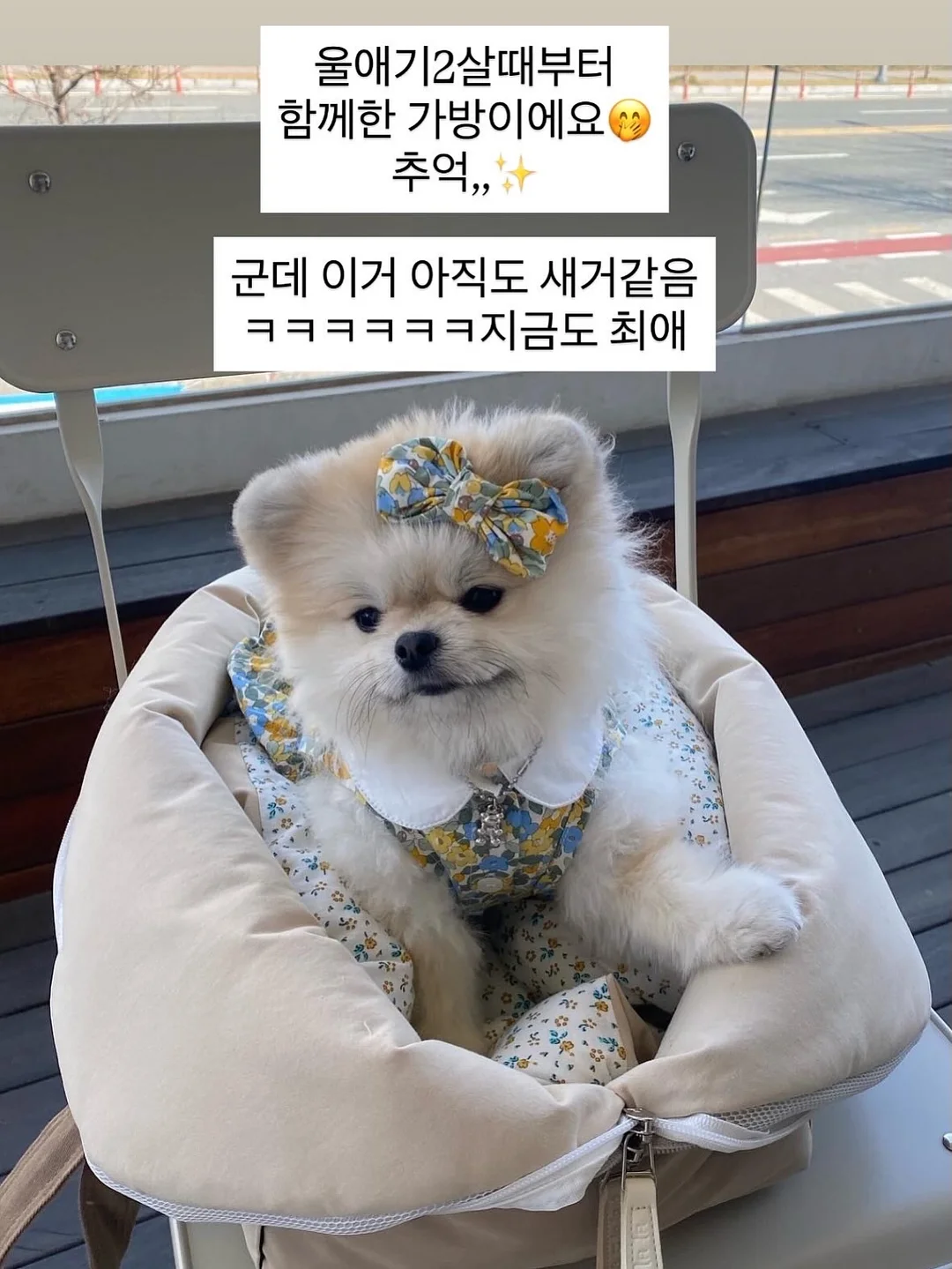 힐조 바디밤/티트리오일/베이비밤/페이스밤/민트밤/소이 캔들/바솝 12종 3