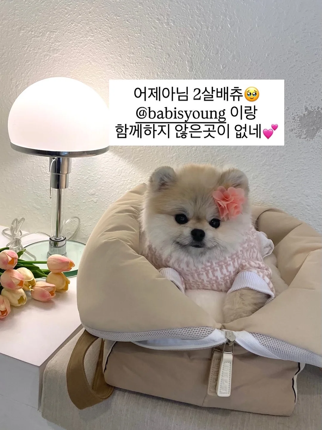 힐조 바디밤/티트리오일/베이비밤/페이스밤/민트밤/소이 캔들/바솝 12종 4