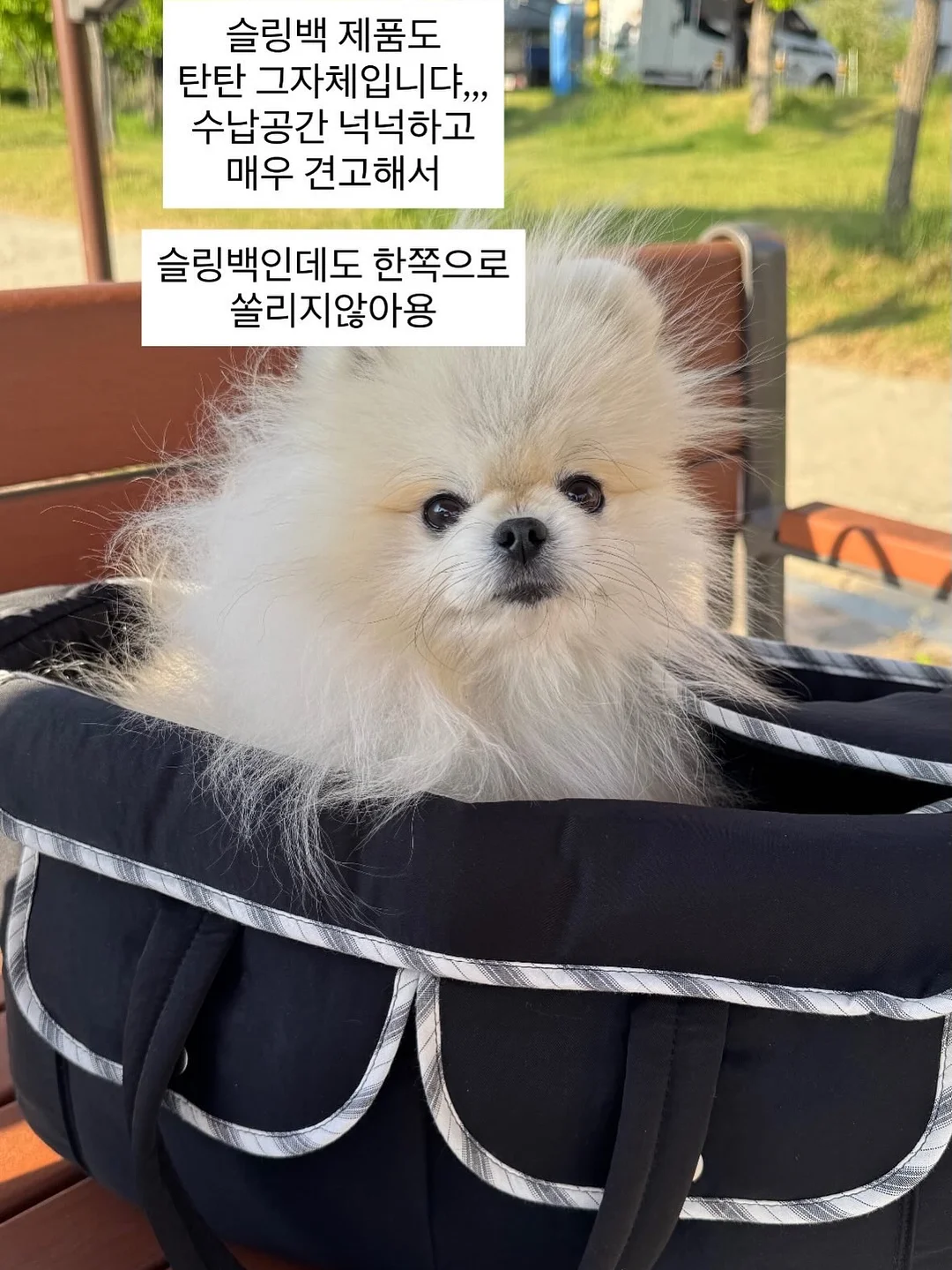 힐조 바디밤/티트리오일/베이비밤/페이스밤/민트밤/소이 캔들/바솝 12종 5