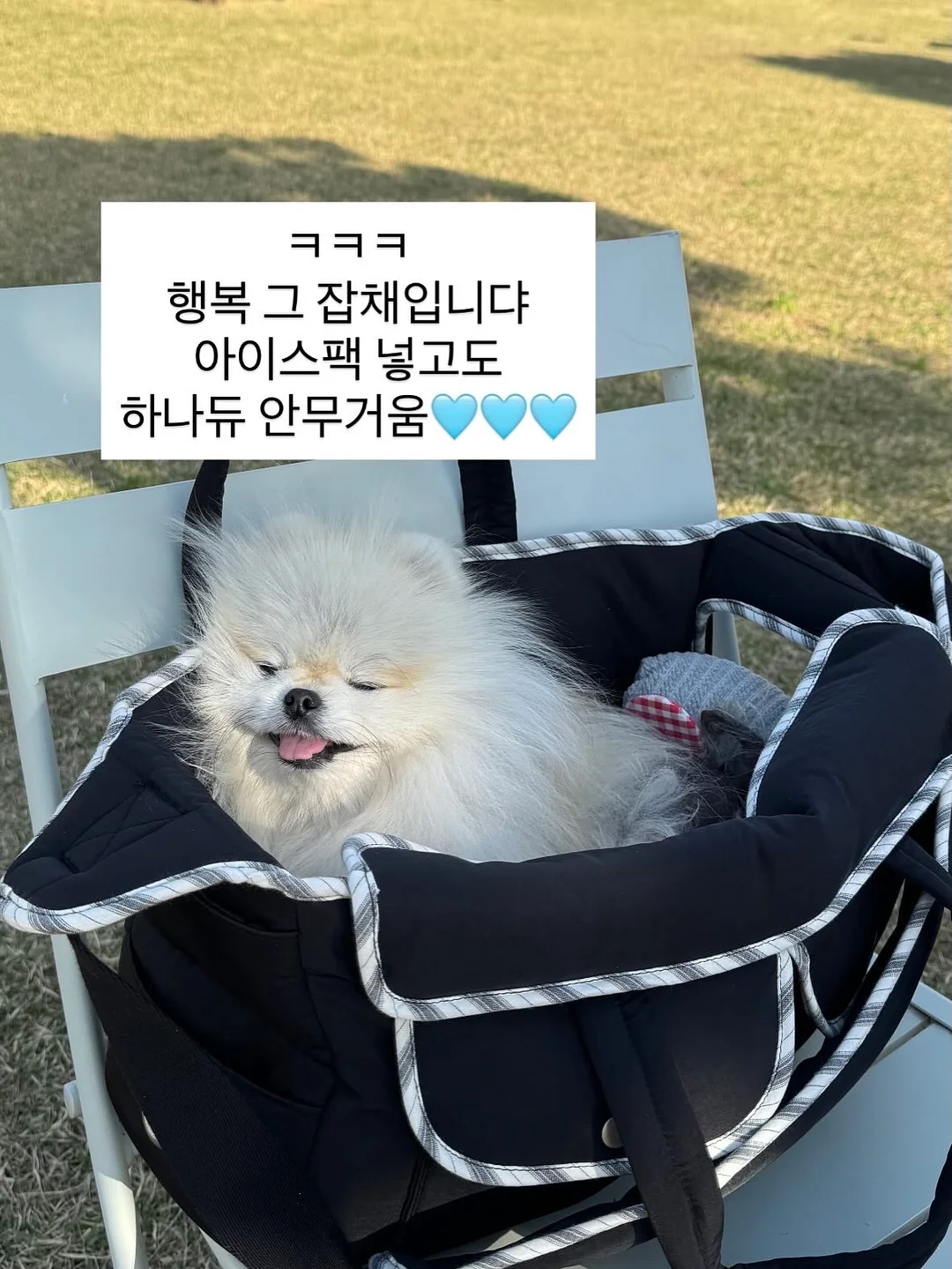 힐조 바디밤/티트리오일/베이비밤/페이스밤/민트밤/소이 캔들/바솝 12종 6