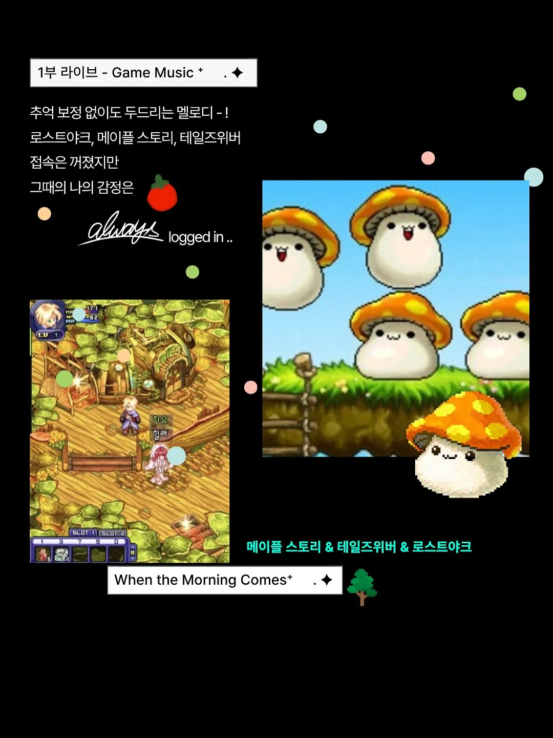 돌돌이 코너 식기건조대 3