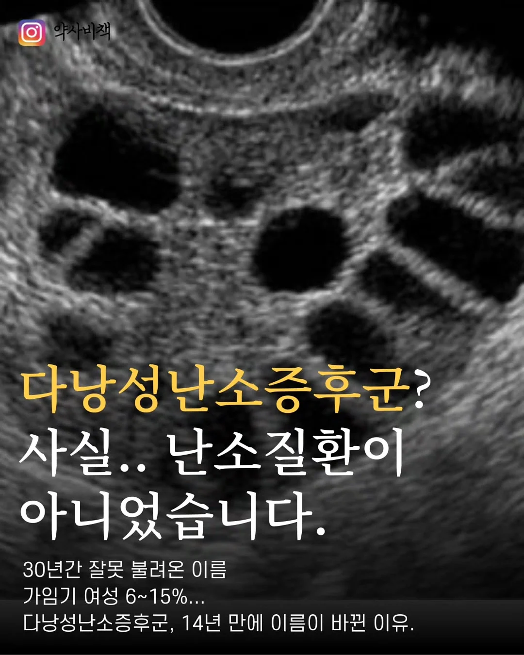 르 팔루디에르 토판 천일염 250g 1