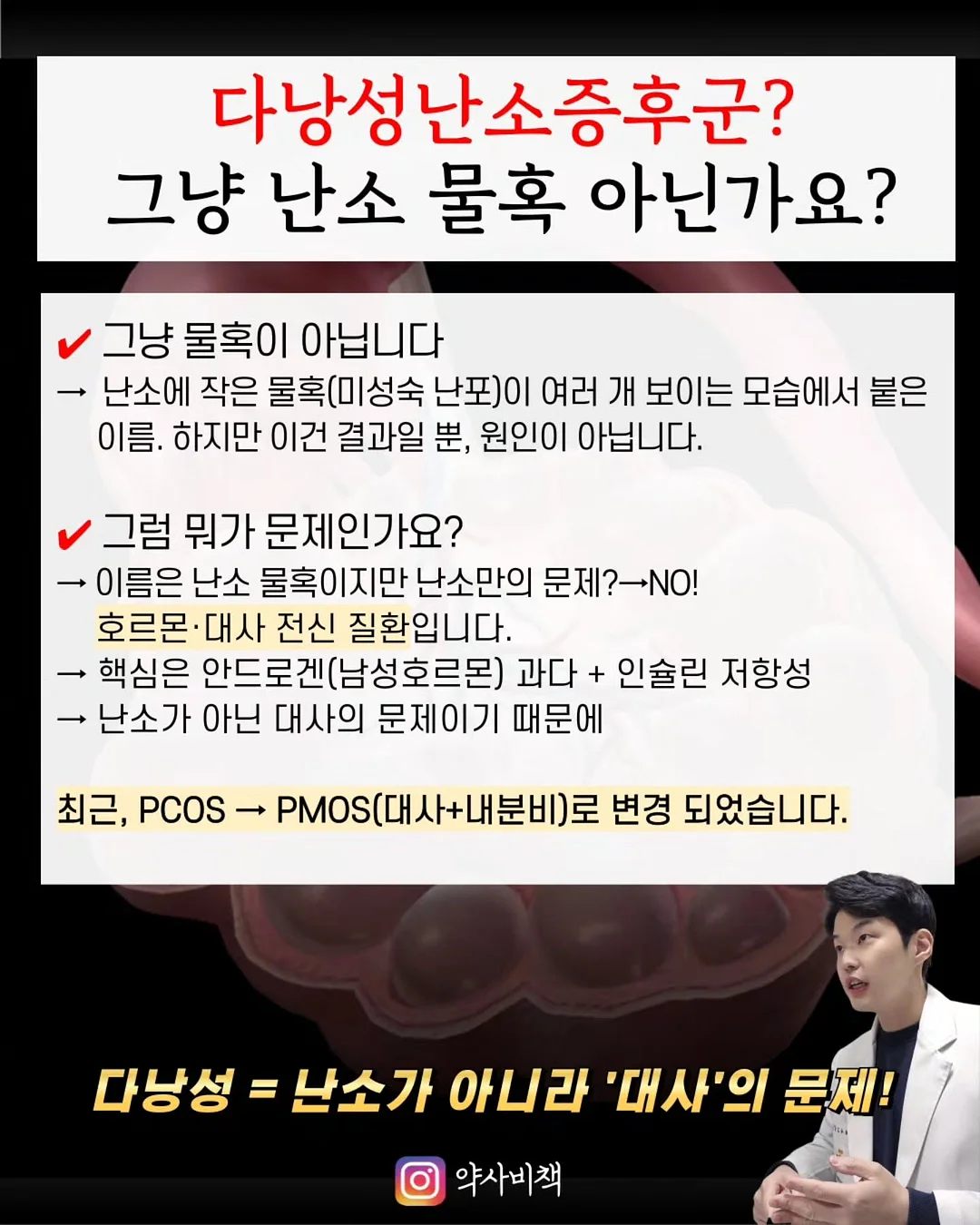 르 팔루디에르 토판 천일염 250g 2