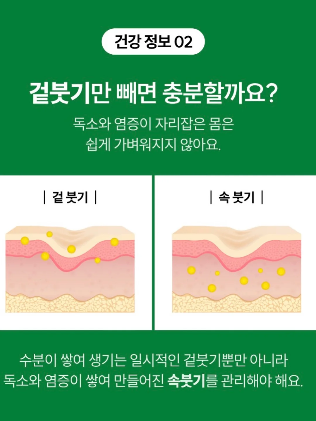 얼음 트레이 13