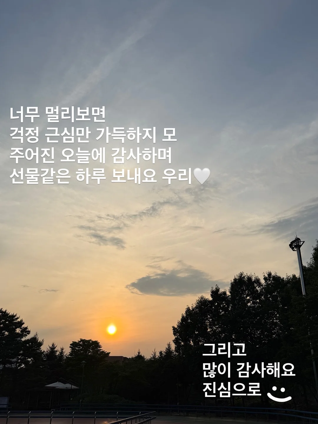 레고 보태니컬 핑크 장미 꽃다발 14