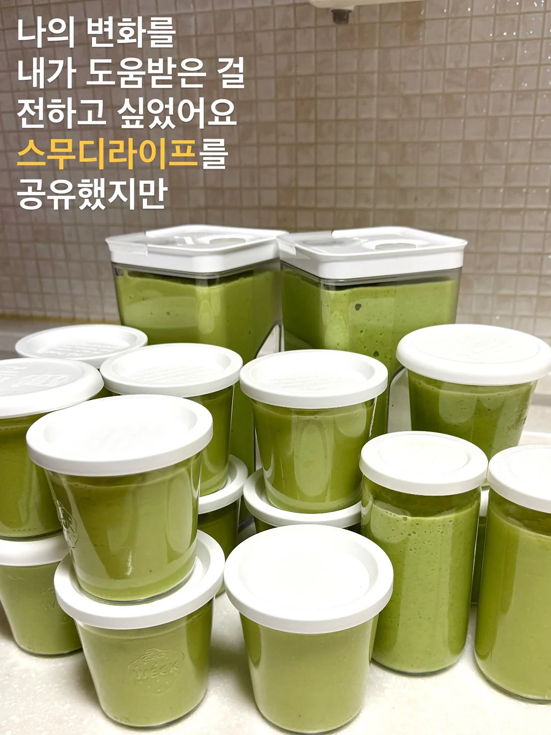 레고 보태니컬 핑크 장미 꽃다발 8