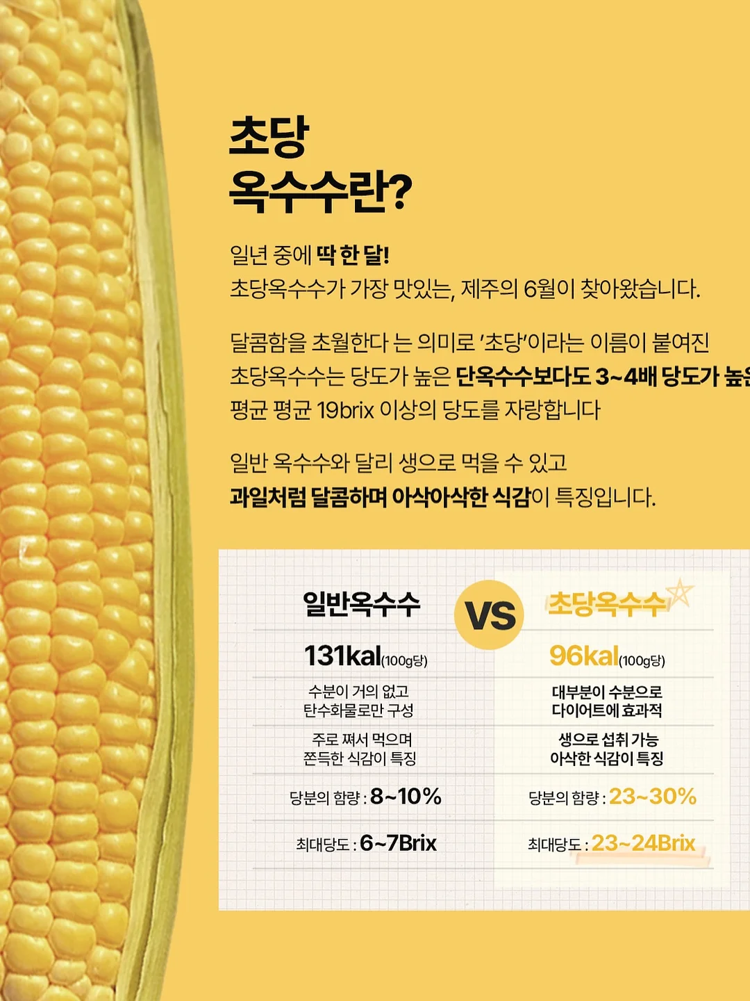부산 숙소 5