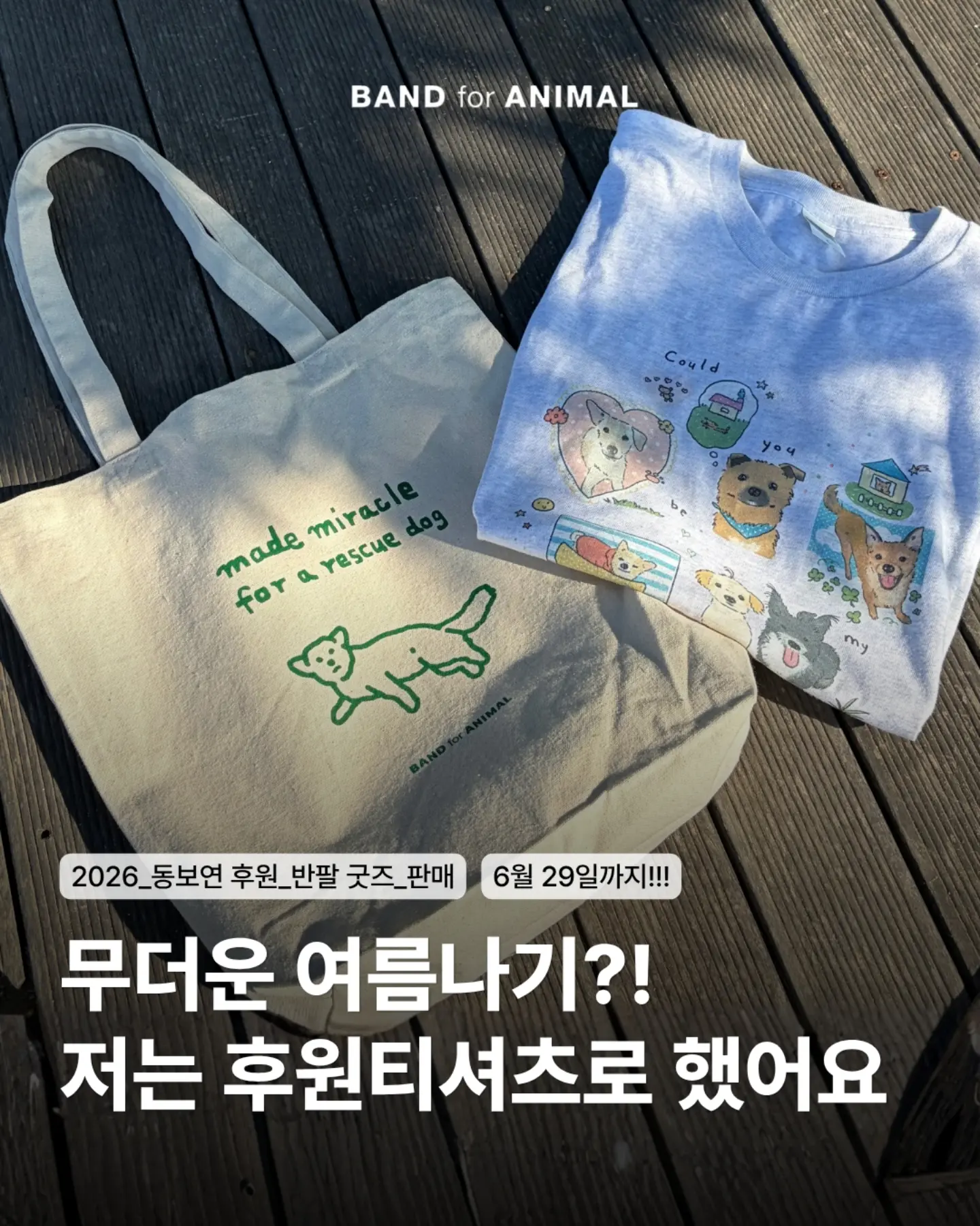 두툼 쥐포 1