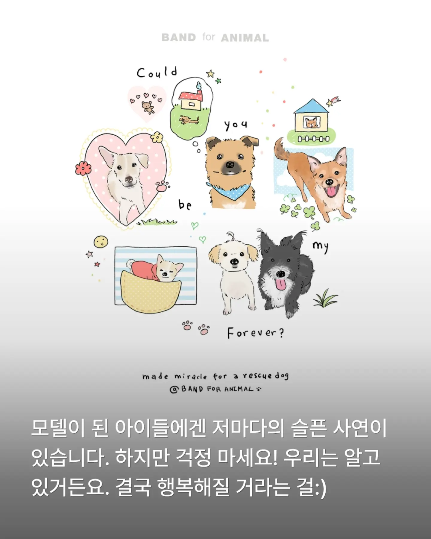 두툼 쥐포 2