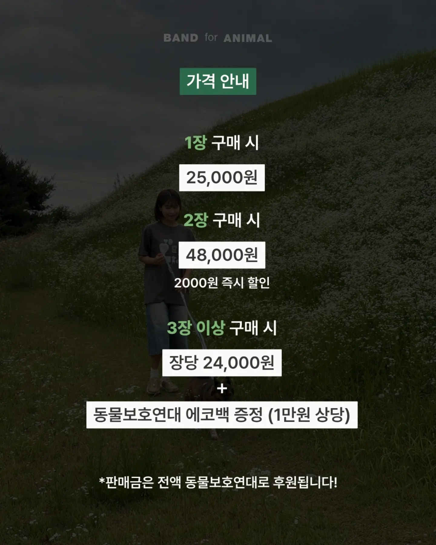 두툼 쥐포 12