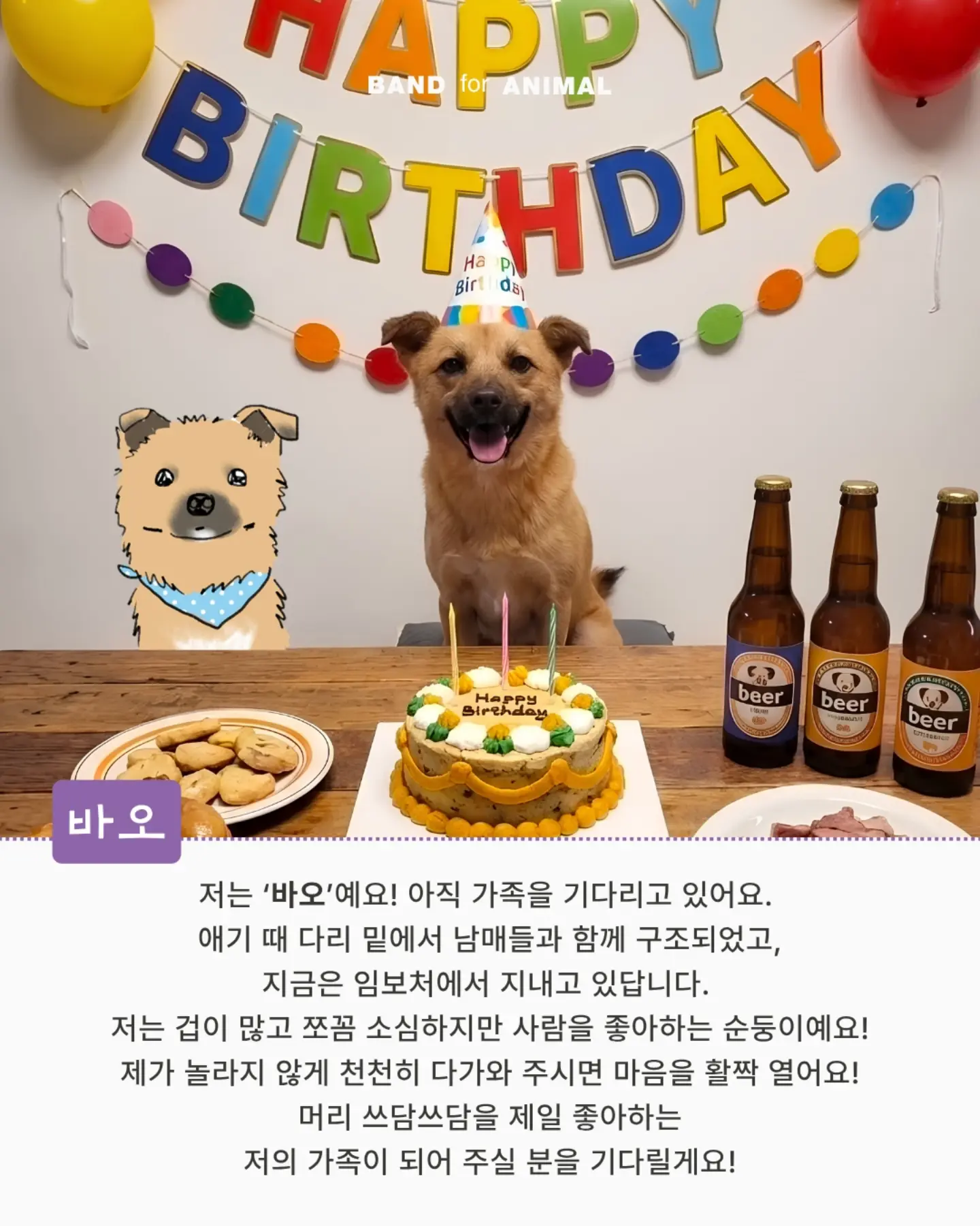 두툼 쥐포 3
