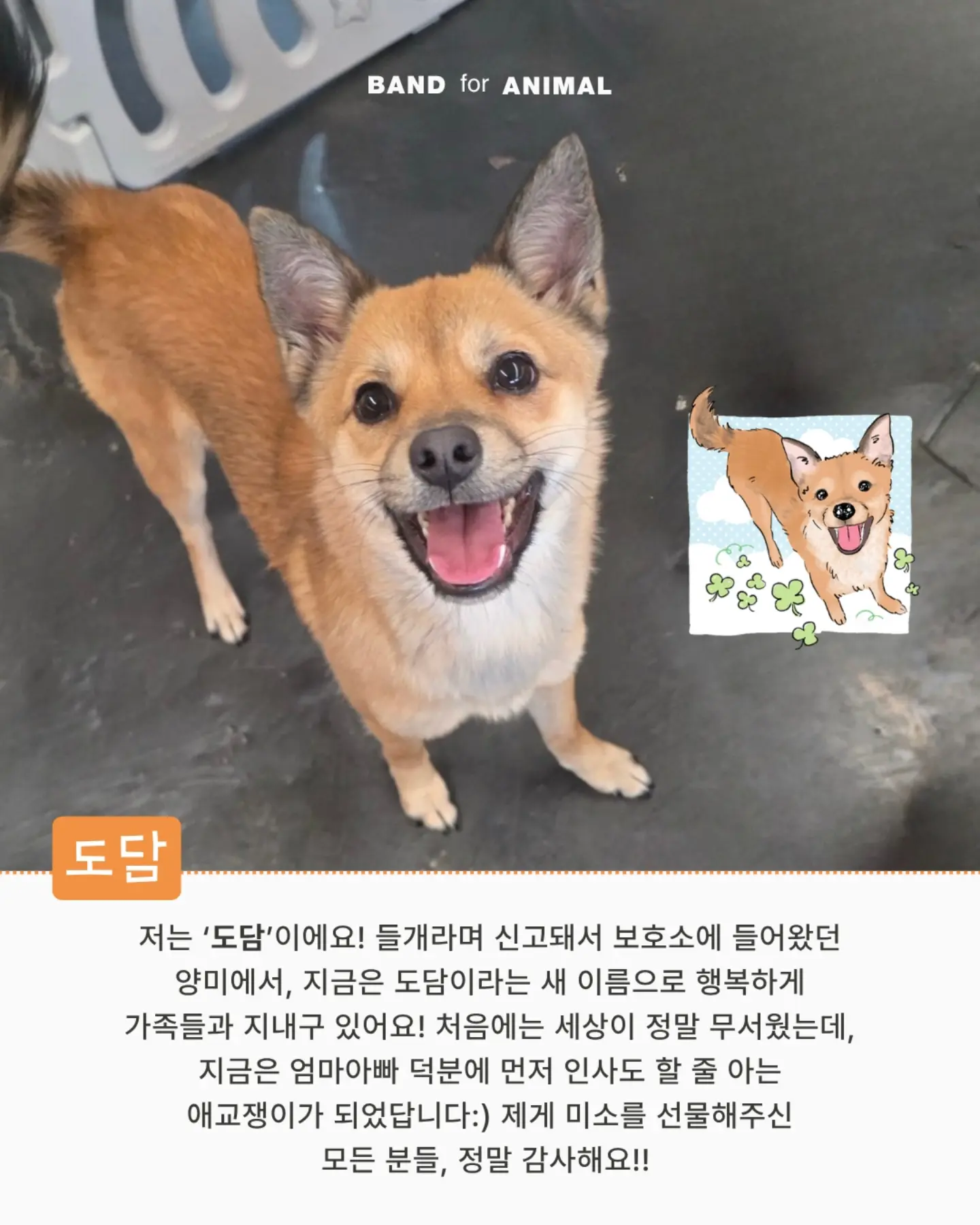 두툼 쥐포 8