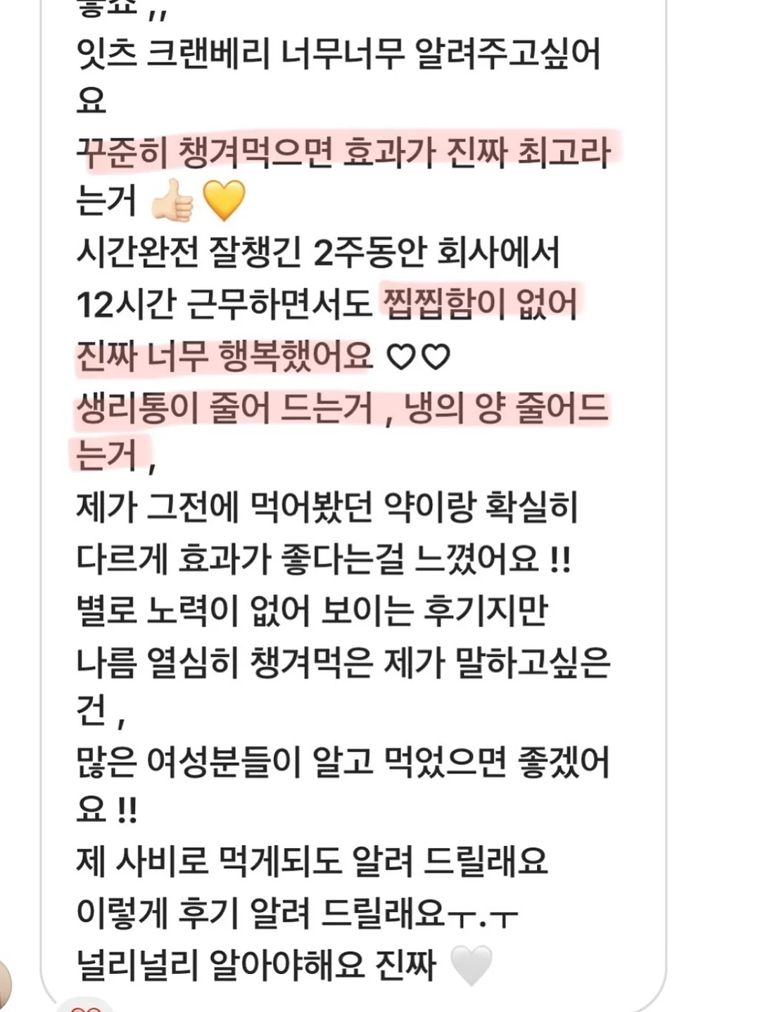 책연필 세트 12