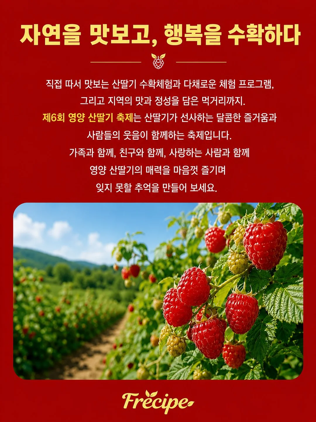노지그래놀라 2