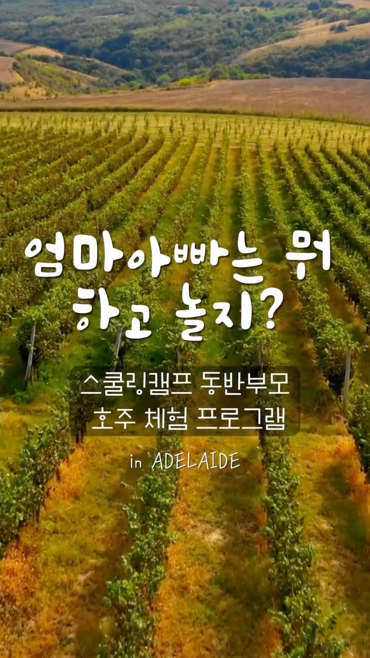 마늘 도구