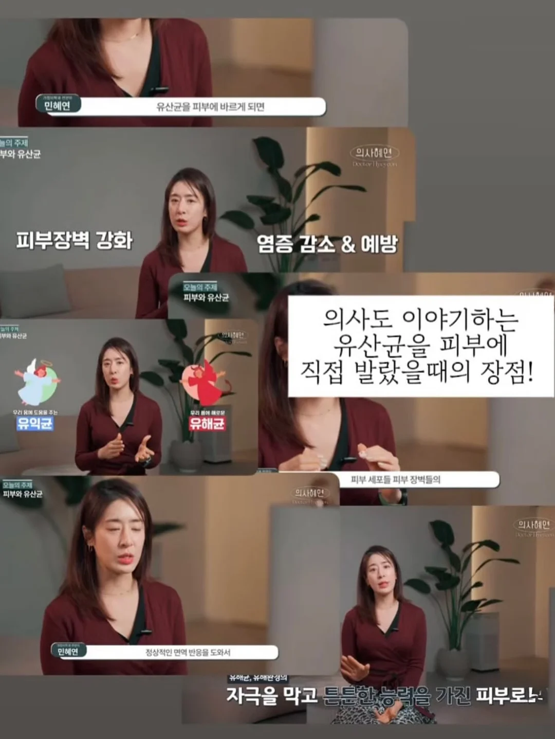 La Boite 라 부아뜨 색동 케이크 11