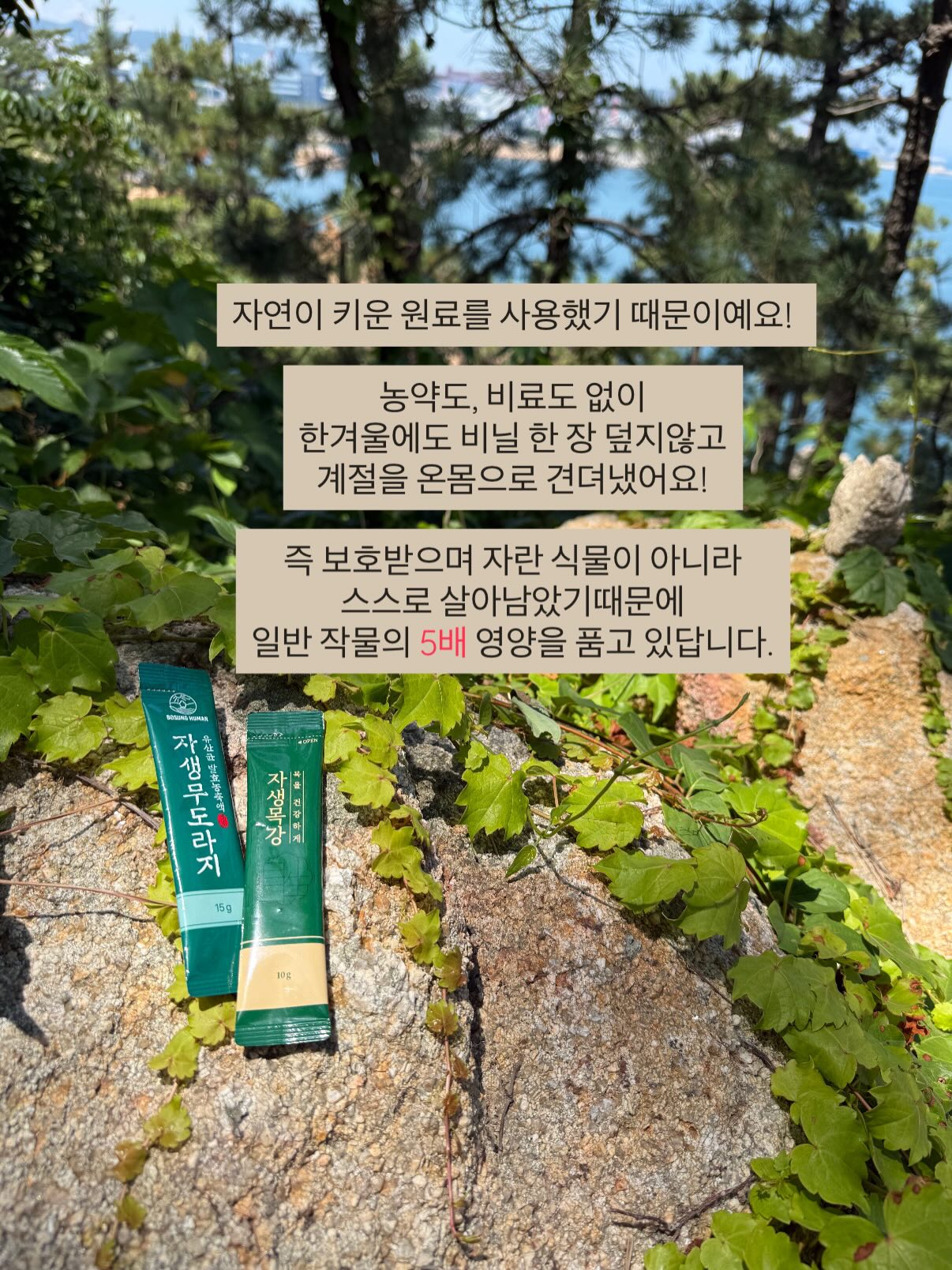 하이넥 바람막이 3