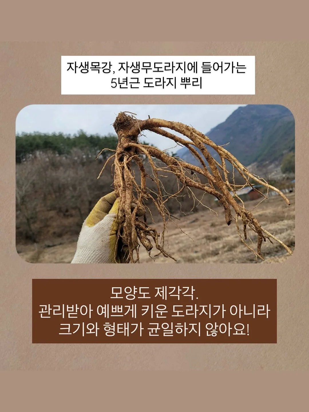 하이넥 바람막이 5