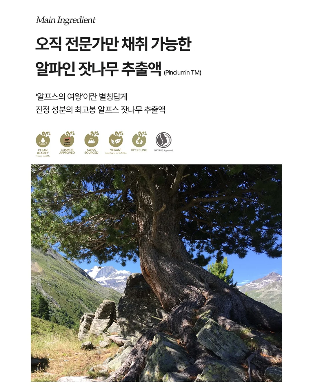노지그래놀라 13