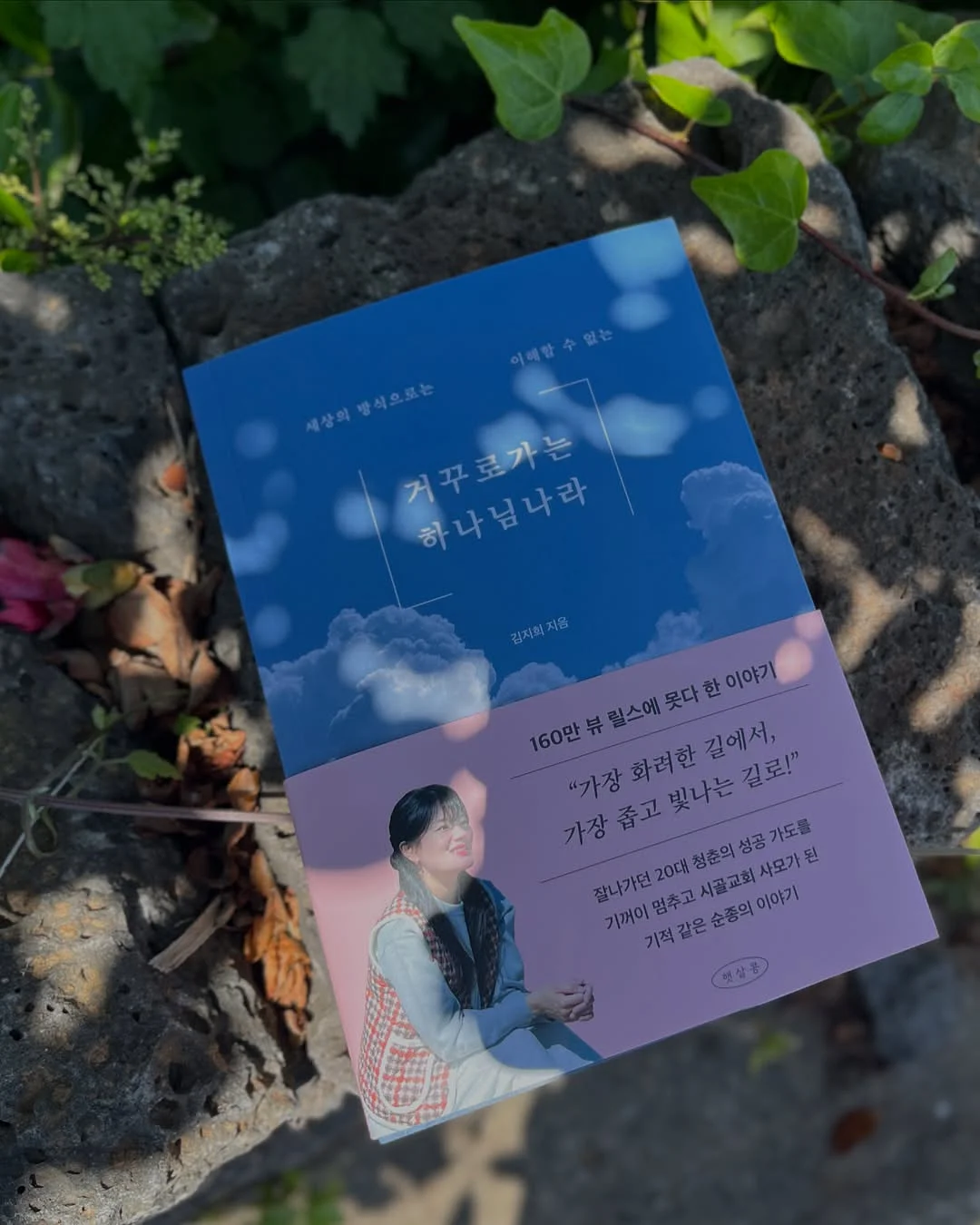 우즈 제습기 13