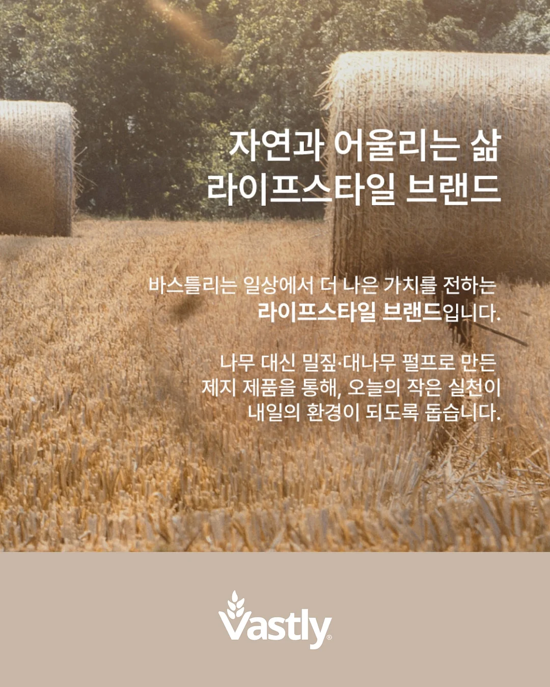 앙투어솔레 치즈 6